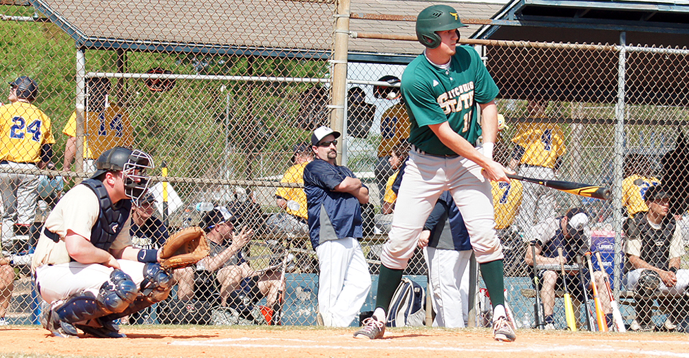 Falcons Drop a Pair to Dickinson College in Florida Action