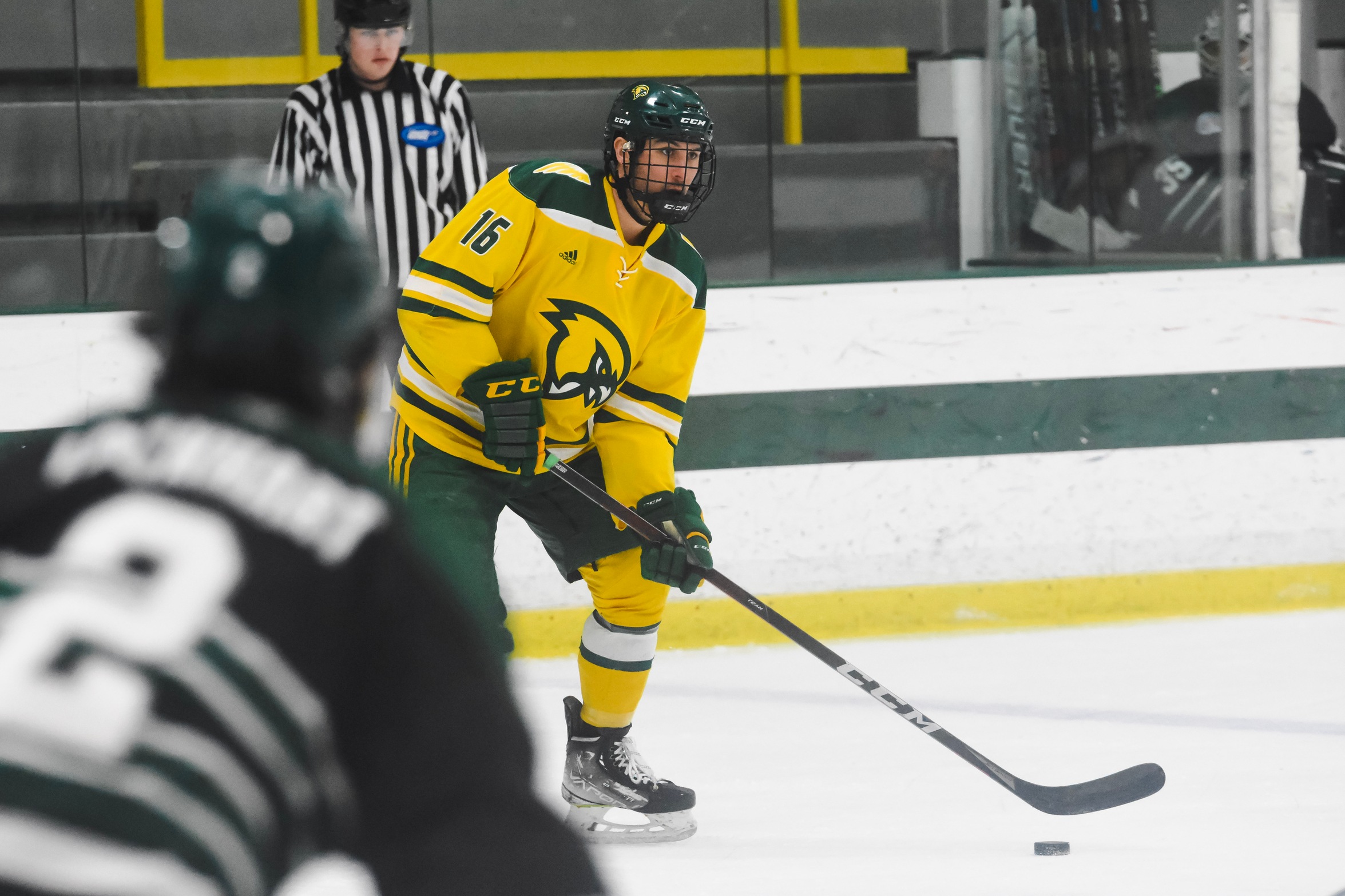 Hockey Draws with MCLA to Open MASCAC Play