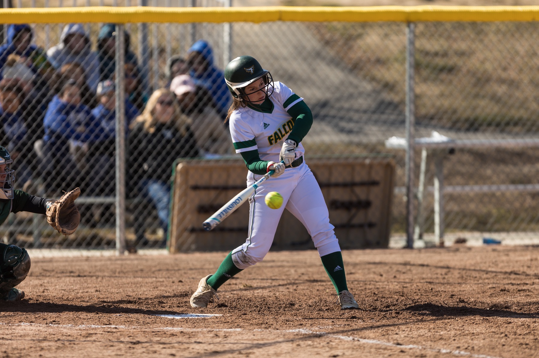 Falcons Swept By Bears In MASCAC Softball Action