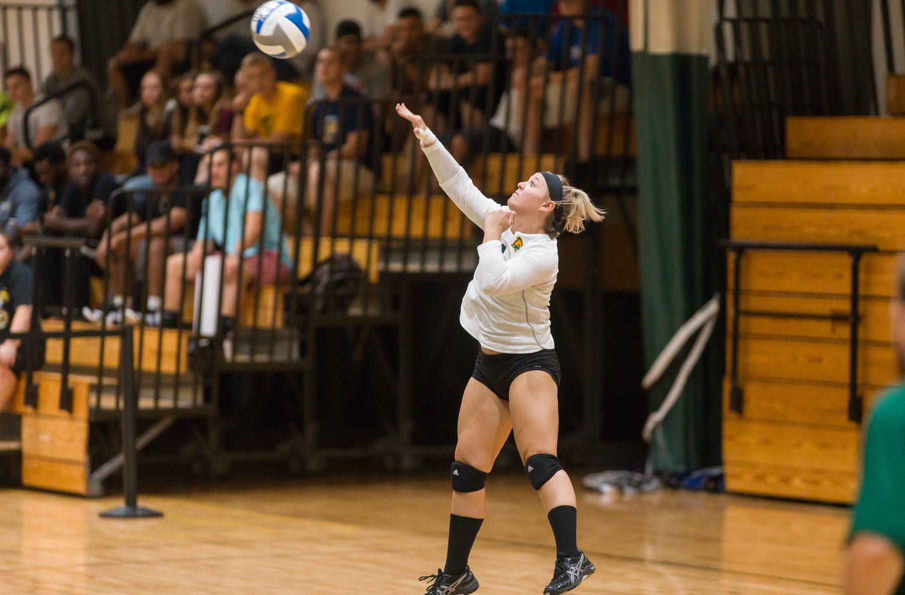 Falcons Compete In Tri-Match With Worcester State And Nichols