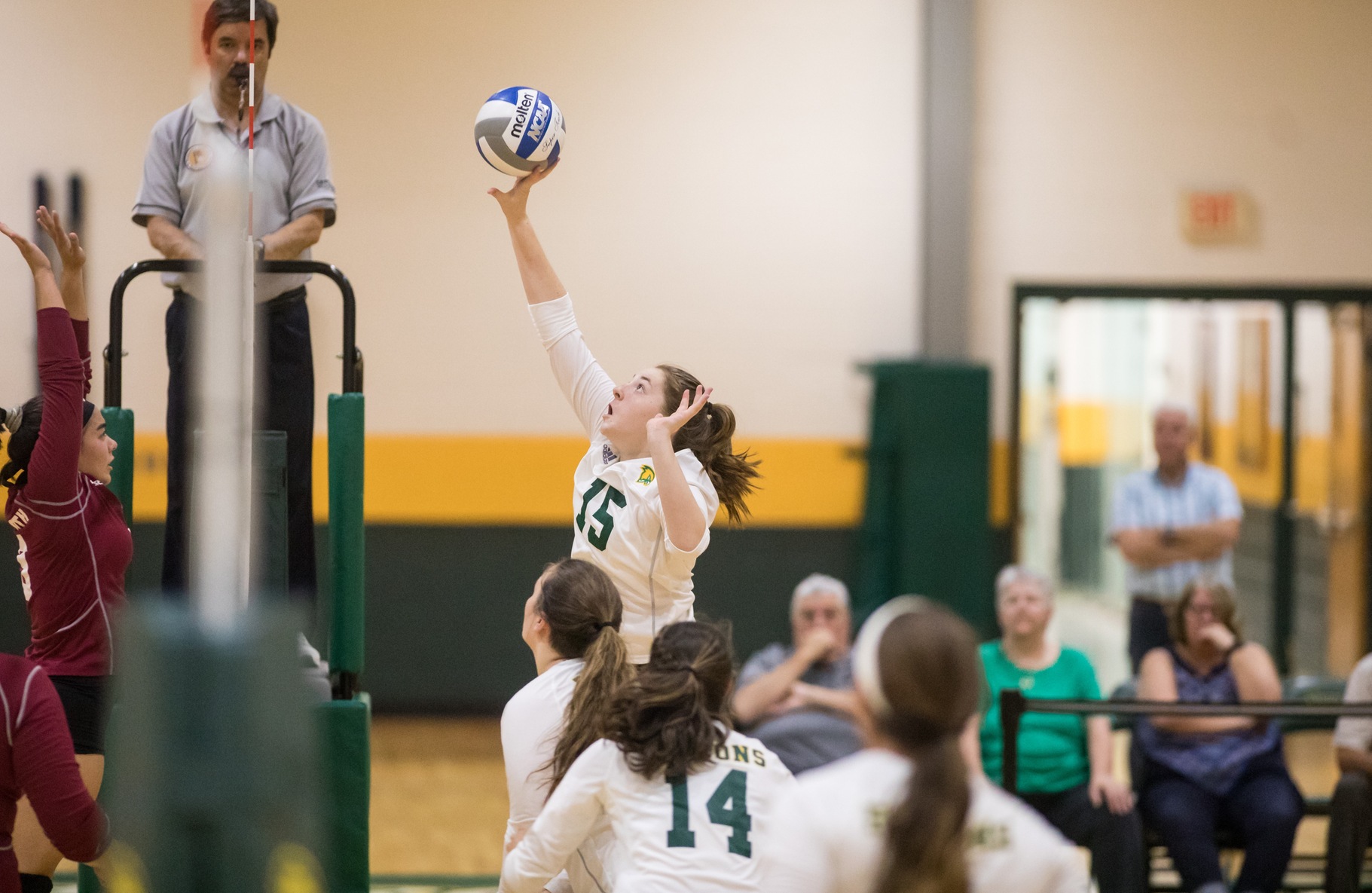 Falcons Fall In Three Sets To Nichols