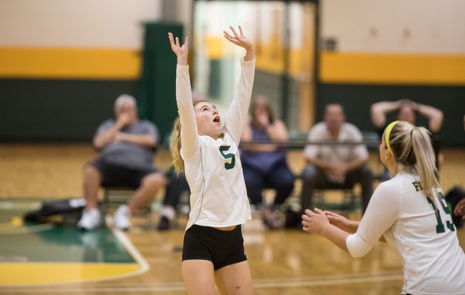 Falcons Clipped By Blue Jays In Four Sets