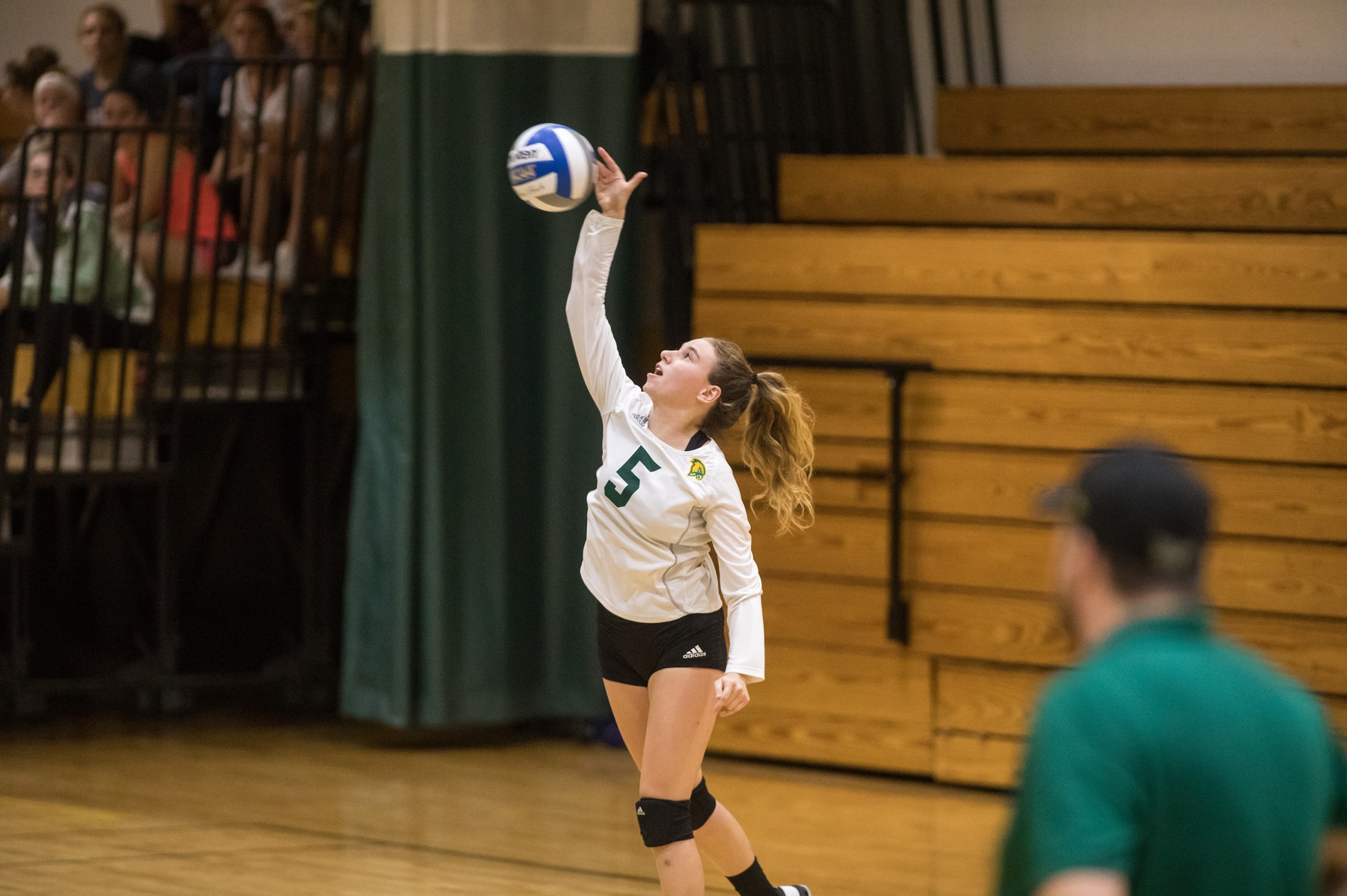 Falcons Clipped By Fisher In Three Sets