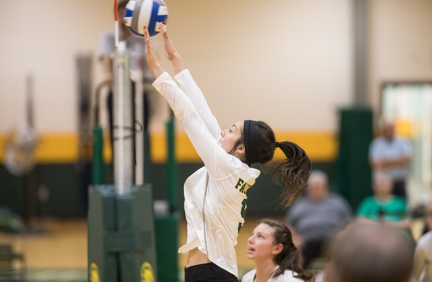 Falcons Upended By Bulldogs In Three Sets