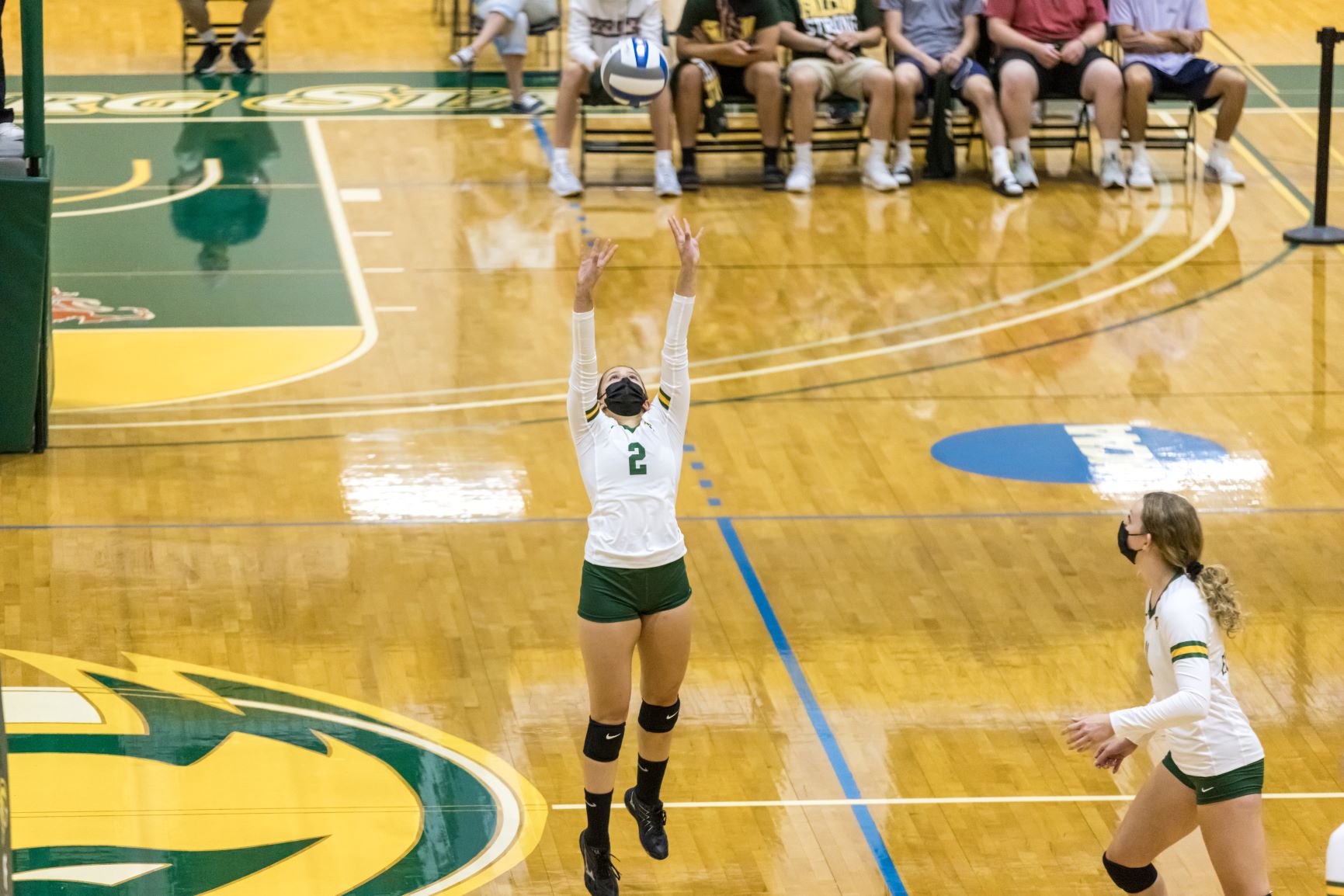 Volleyball Drops MASCAC Match to the Trailblazers