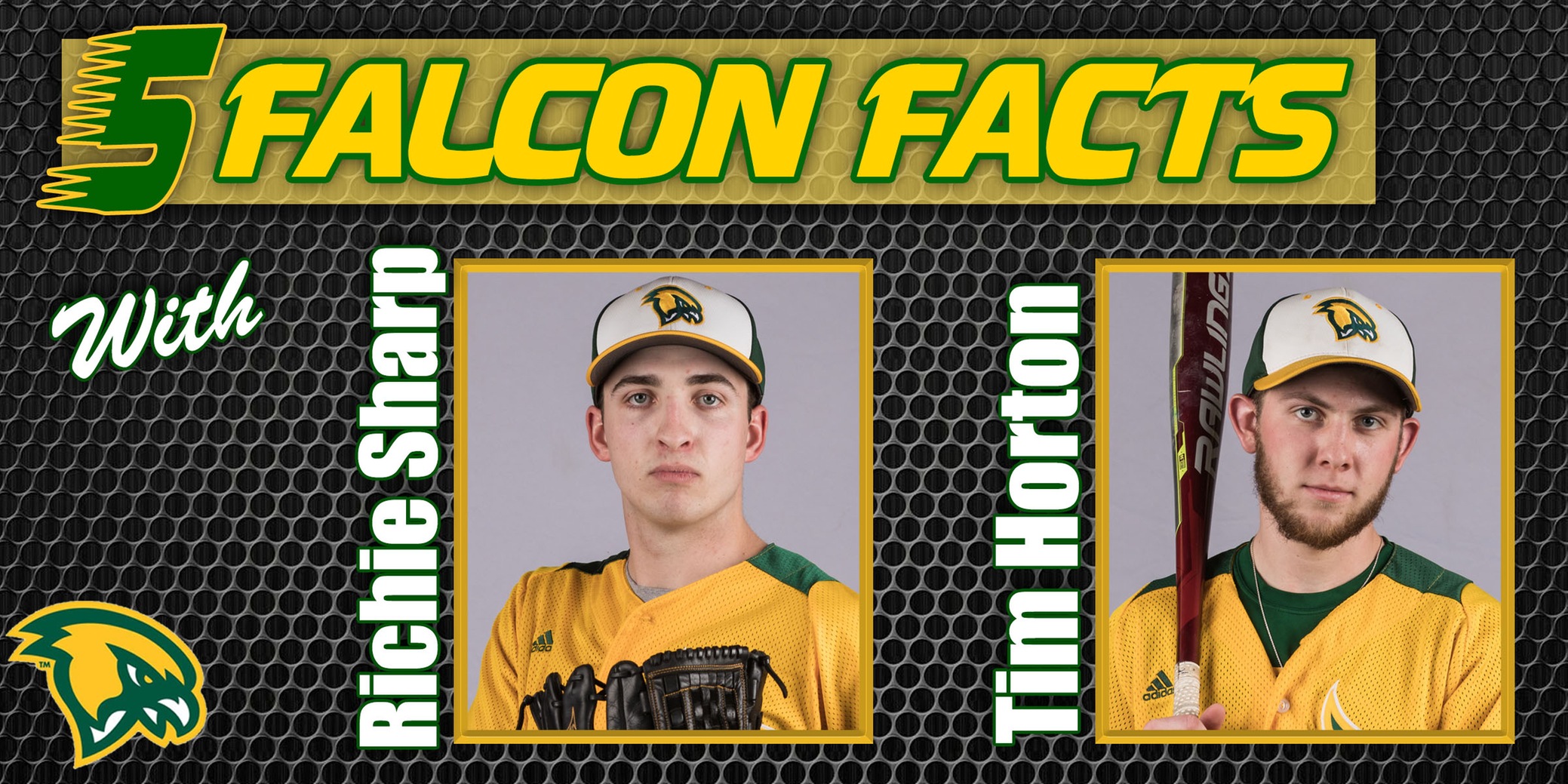 Five Falcon Facts with Horton & Sharp