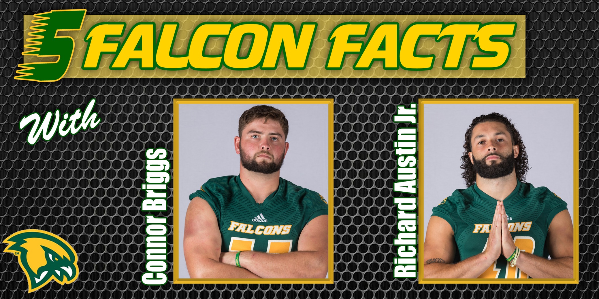 Five Falcon Facts with Briggs & Austin