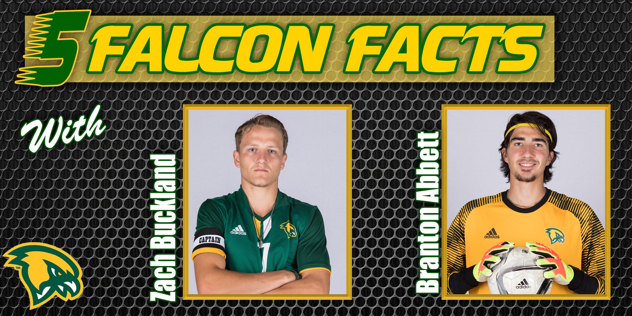 Five Falcon Facts with Briggs & Austin