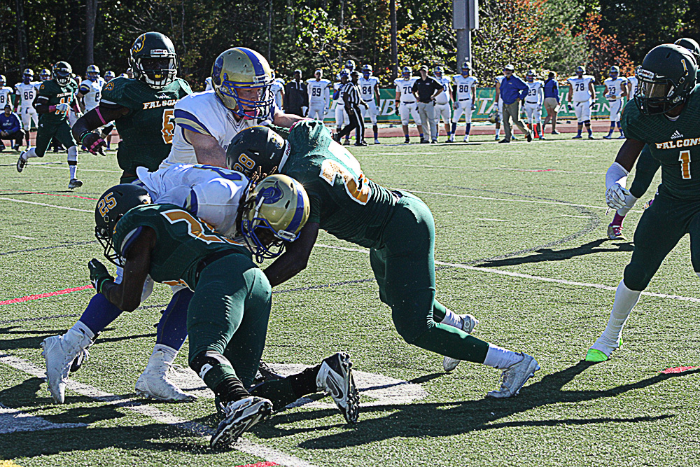 Fitchburg State Nipped By Alfred, 11-10