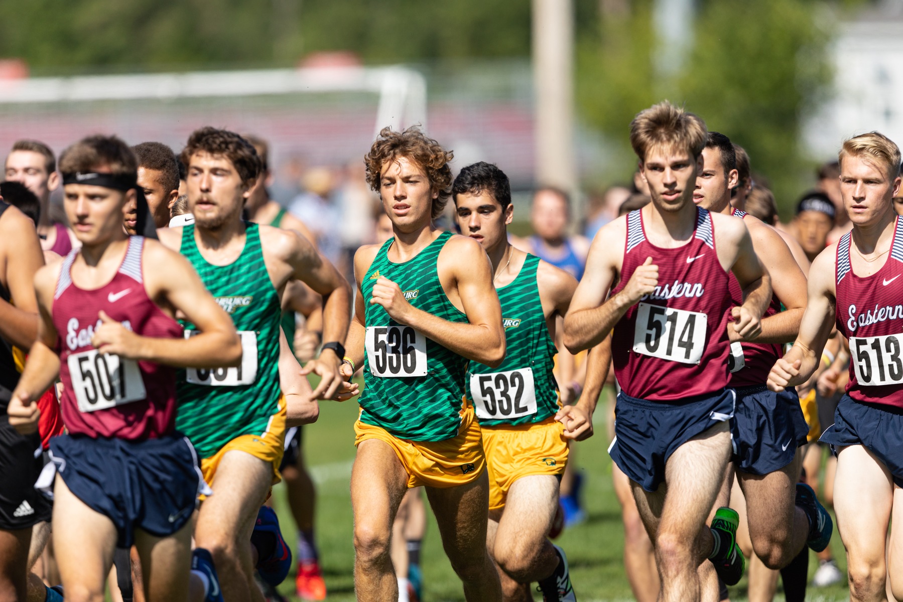 Falcons Race at Purple Valley Invite