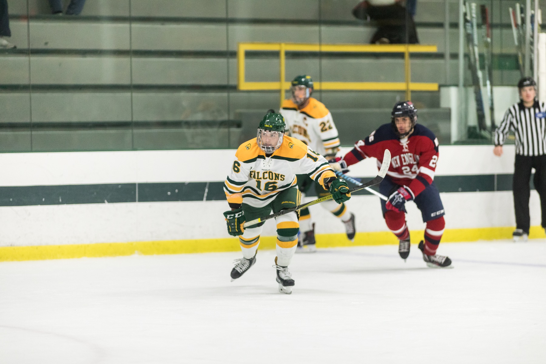 Falcons Fall to Plymouth State, 5-3