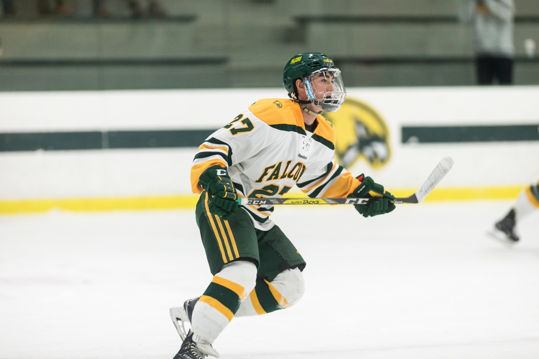  Falcons Skate to Tie with Worcester State, 4-4