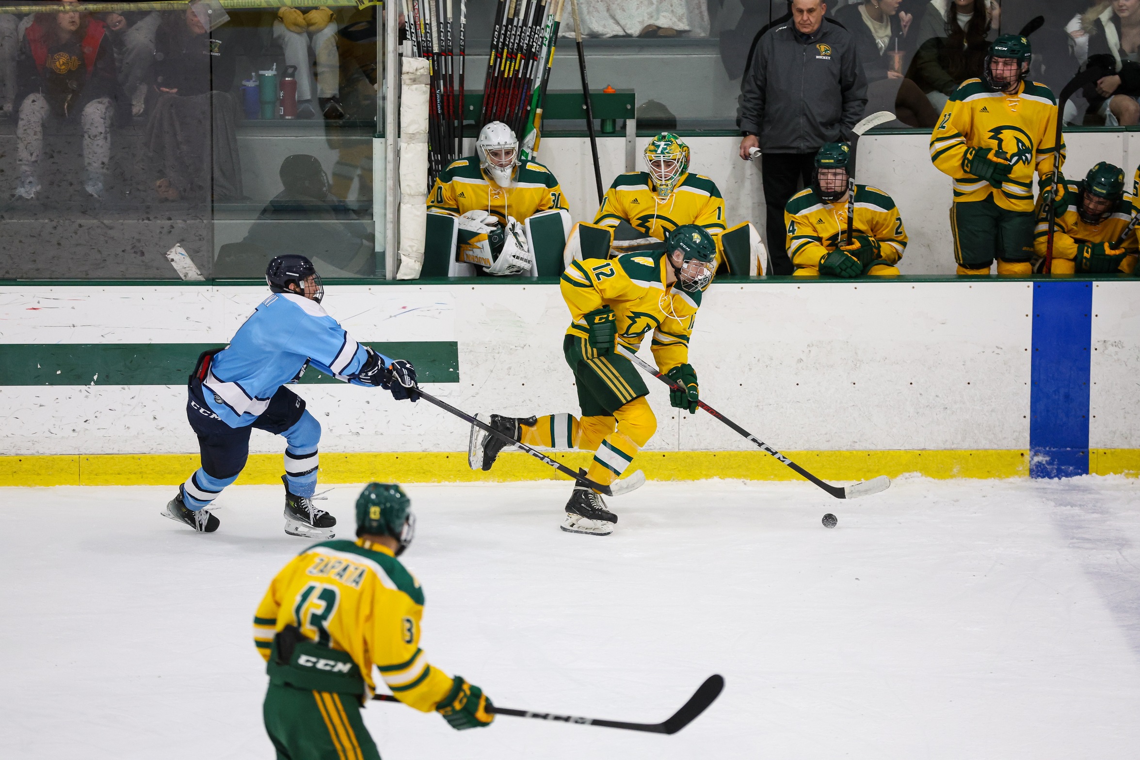 Ice Hockey Blanks Rams, 2-0 To Secure Second Seed In MASCAC Post-Season Tournament