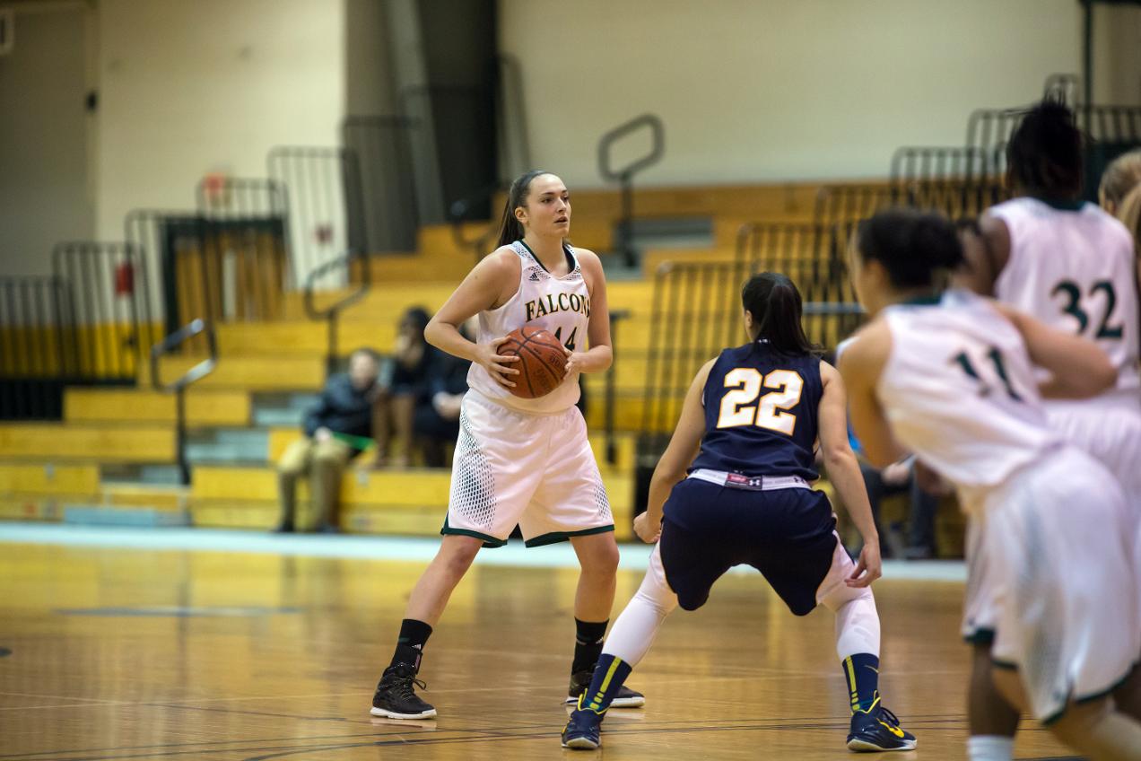 Falcons Clipped by Westfield State, 60-50