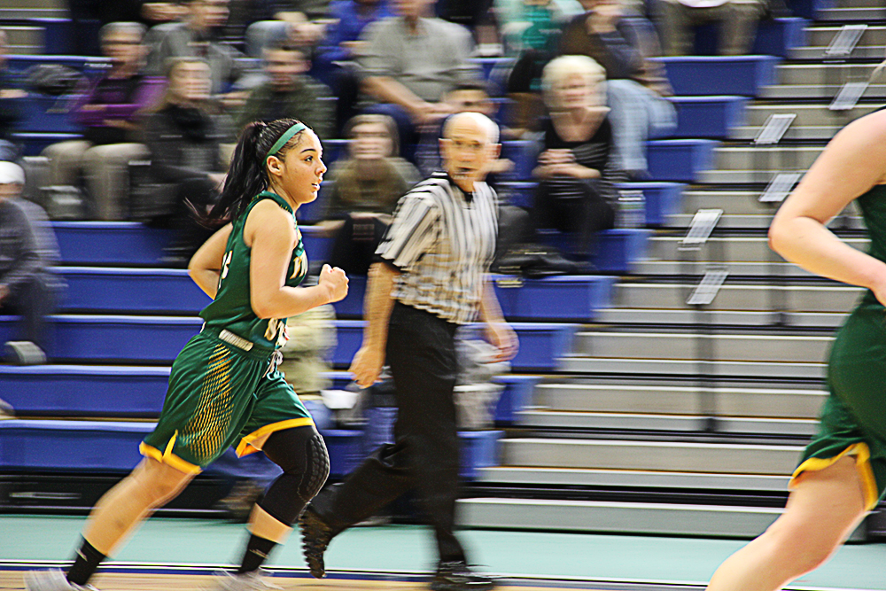 Fitchburg State Clipped By Westfield State, 102-60