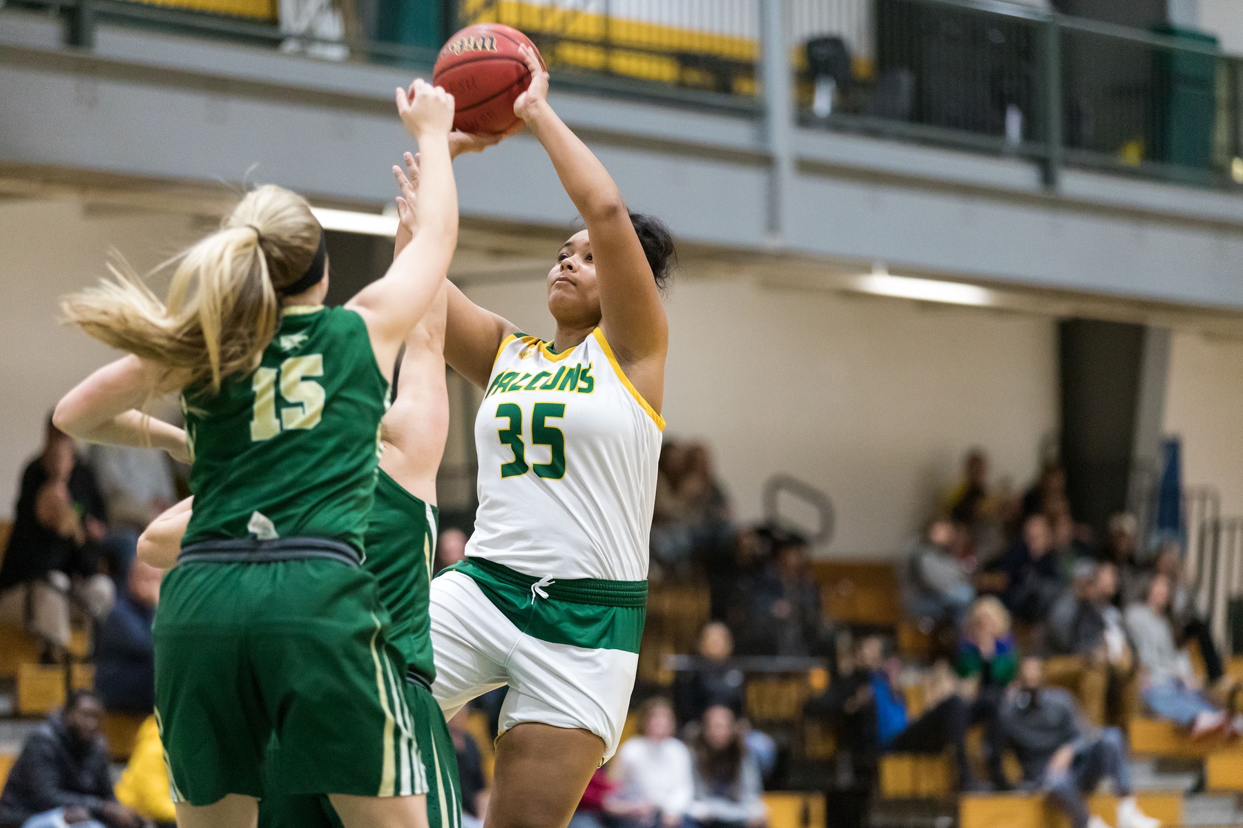 Falcons Fall to Worcester State