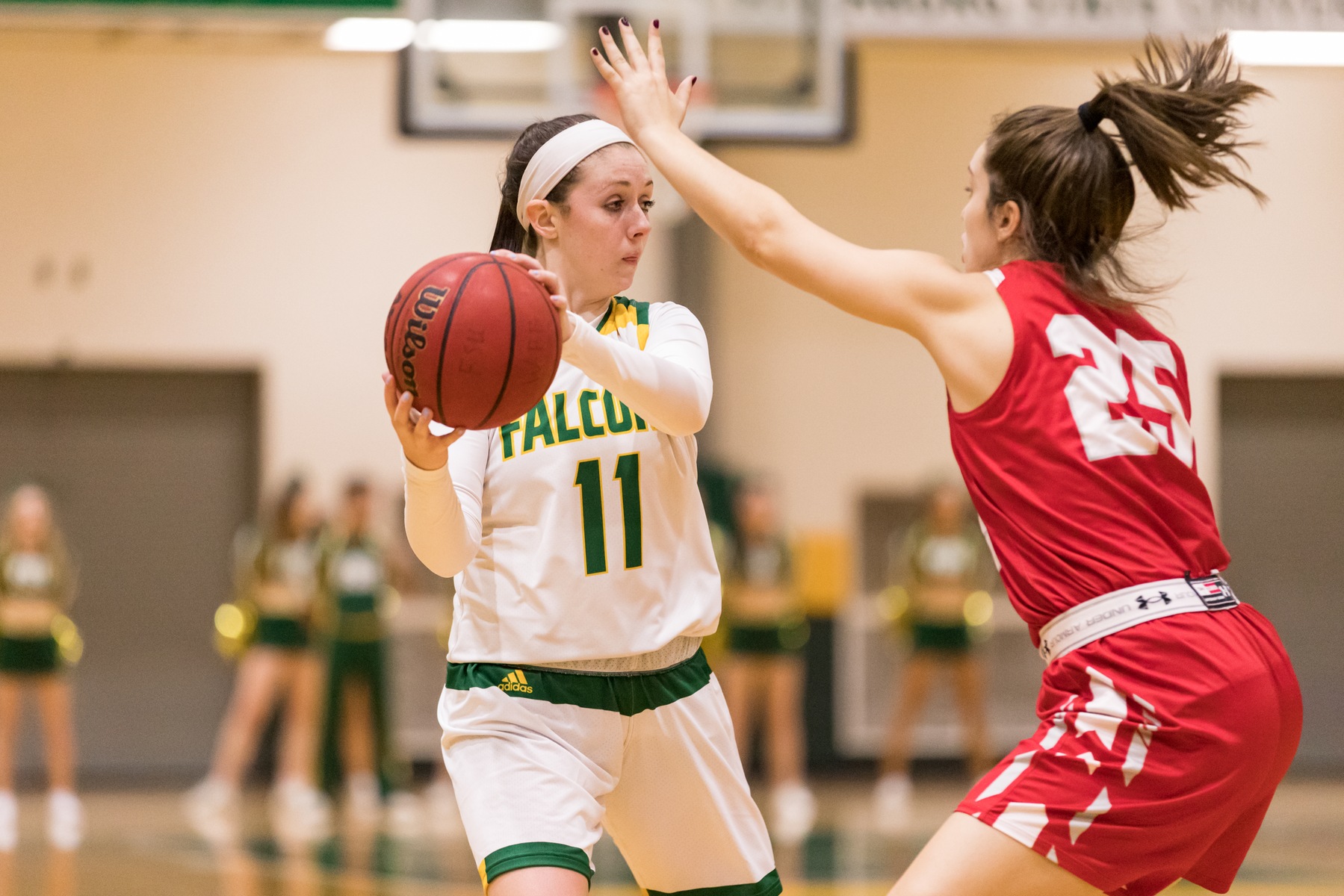 Falcons Fall to Bears of Bridgewater State in MASCAC Play