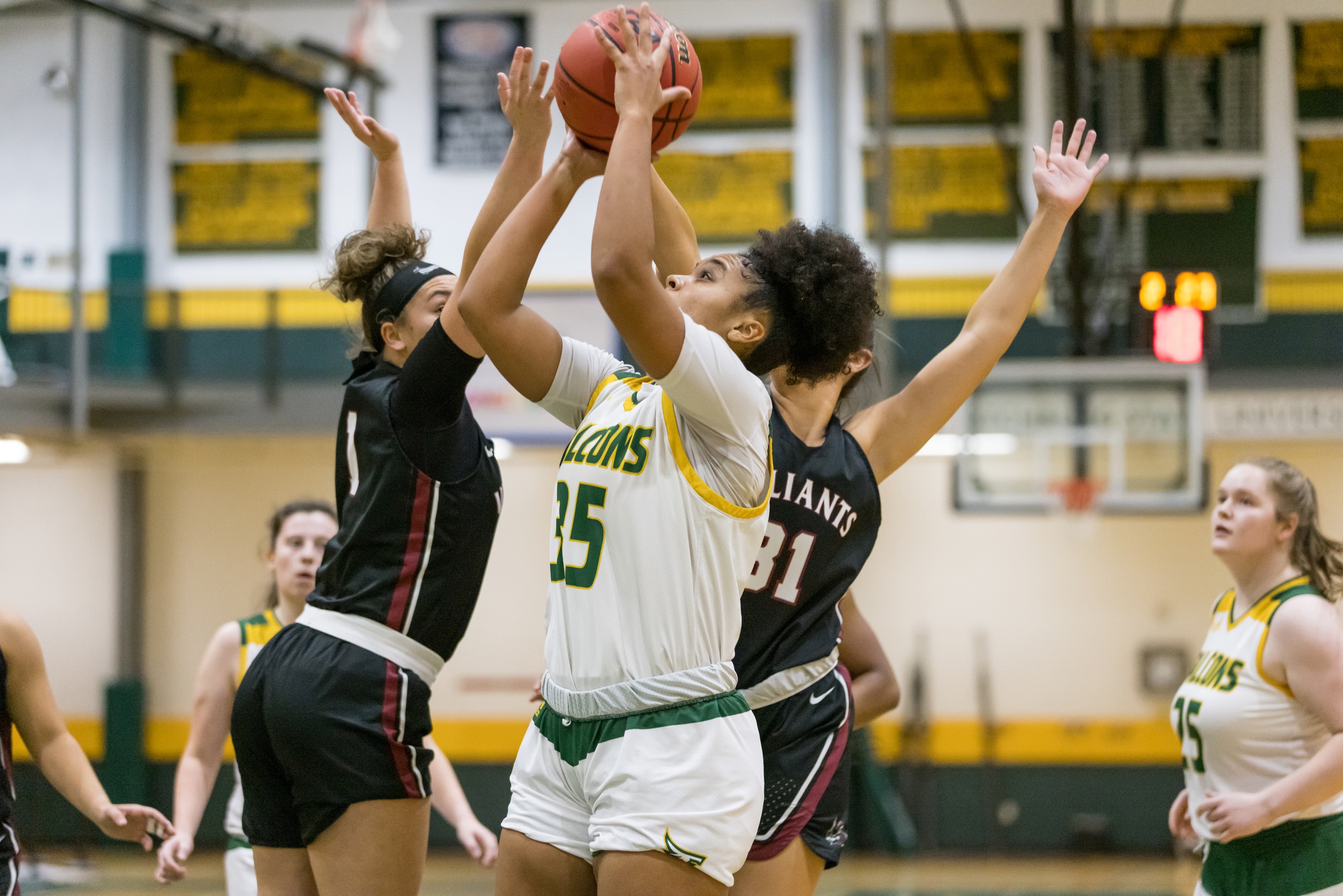 Falcons Fall to Trailblazers in MASCAC Action