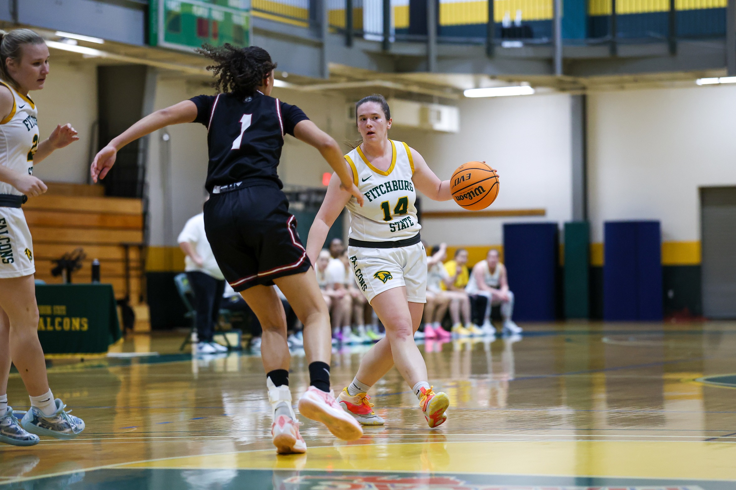 Women's Basketball Suffers Non-Conference Loss to JWU