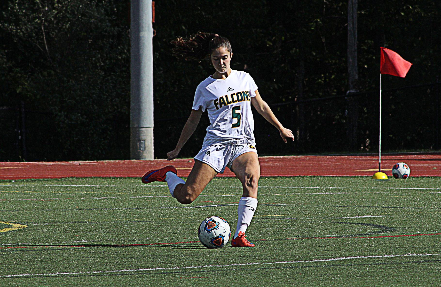 Fitchburg State Nipped By Framingham State, 3-2