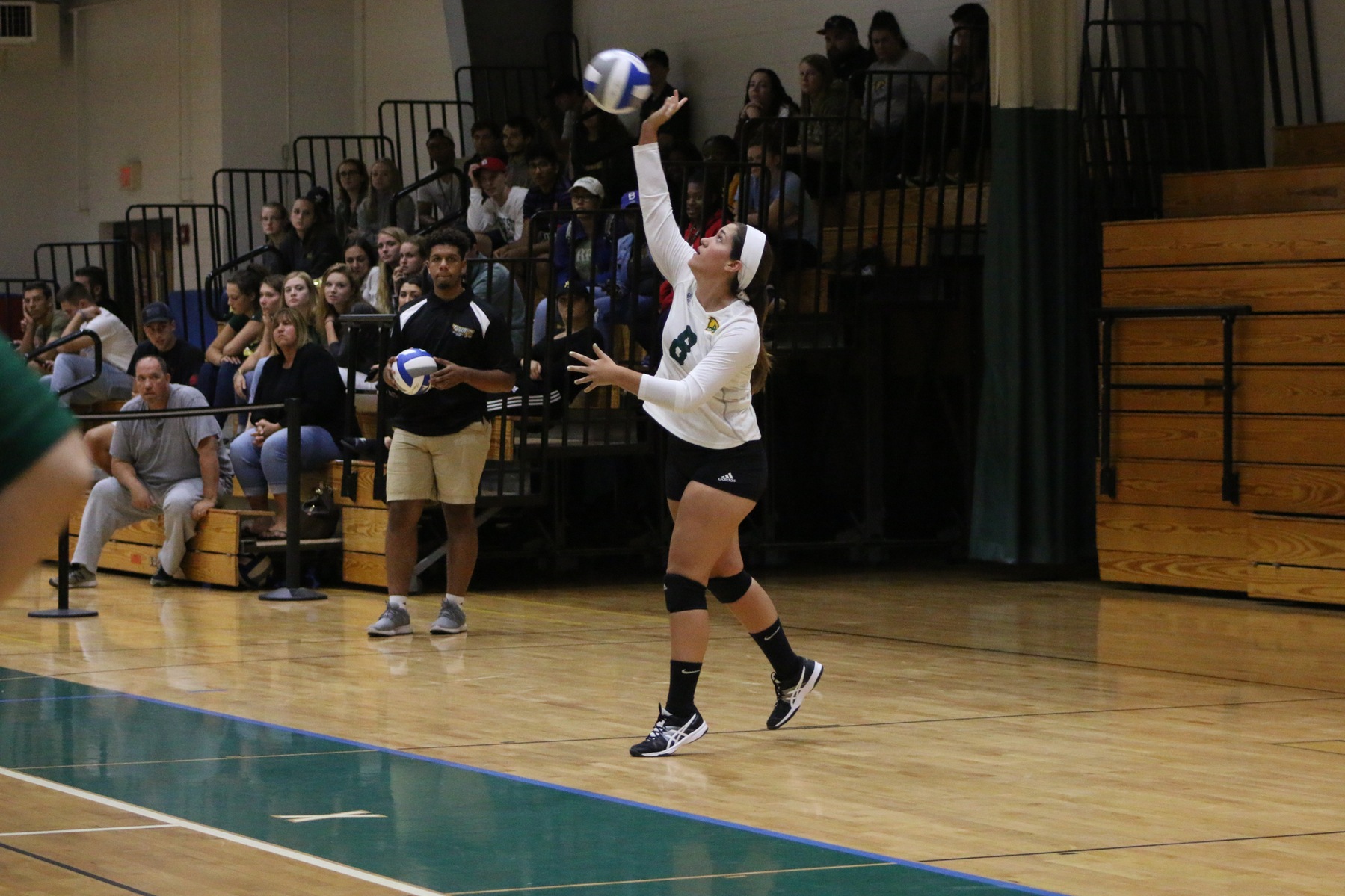 Falcons Fall to Lesley in Five Sets