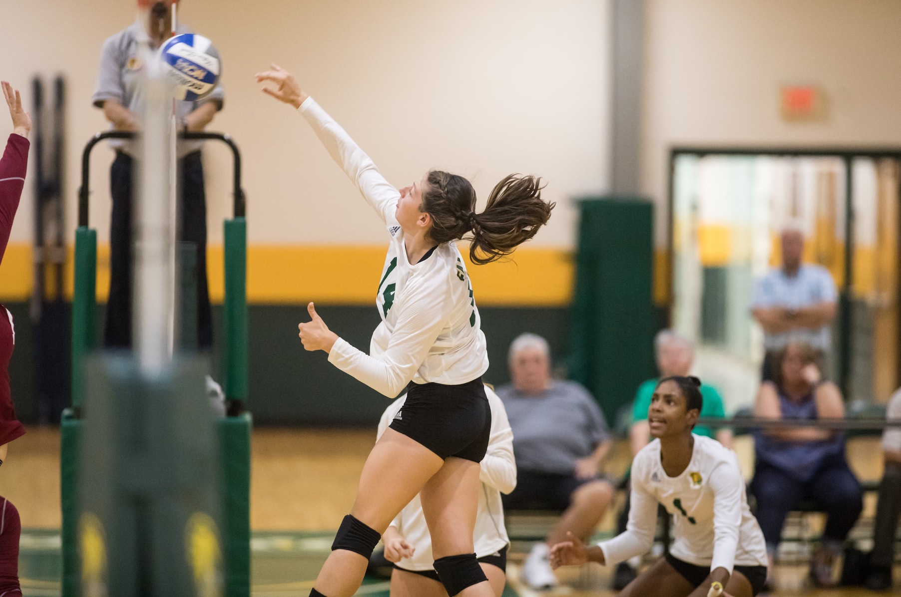 Falcons Defeated By Owls In Three Sets