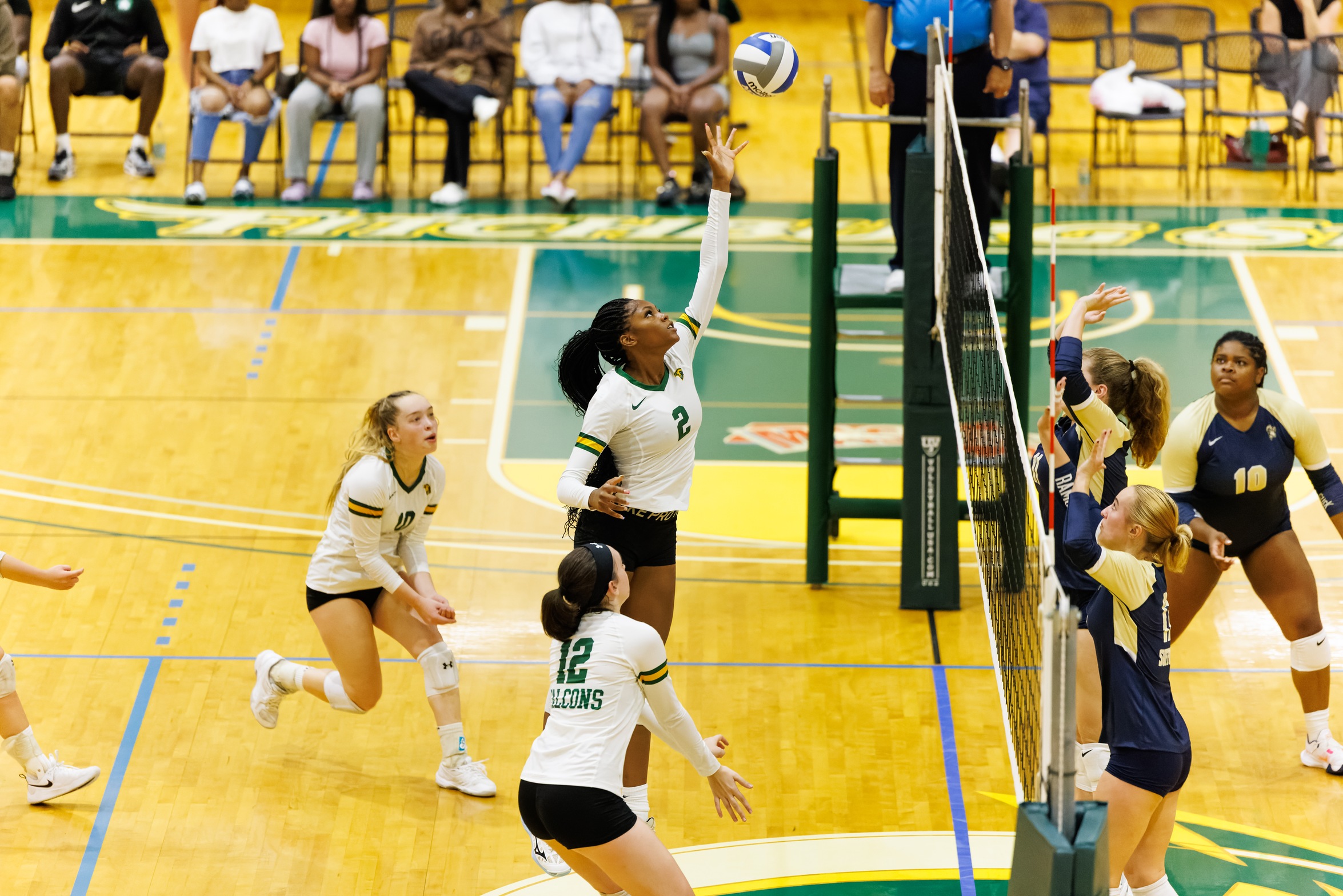 Women's Volleyball Takes Two from Curry and Albertus
