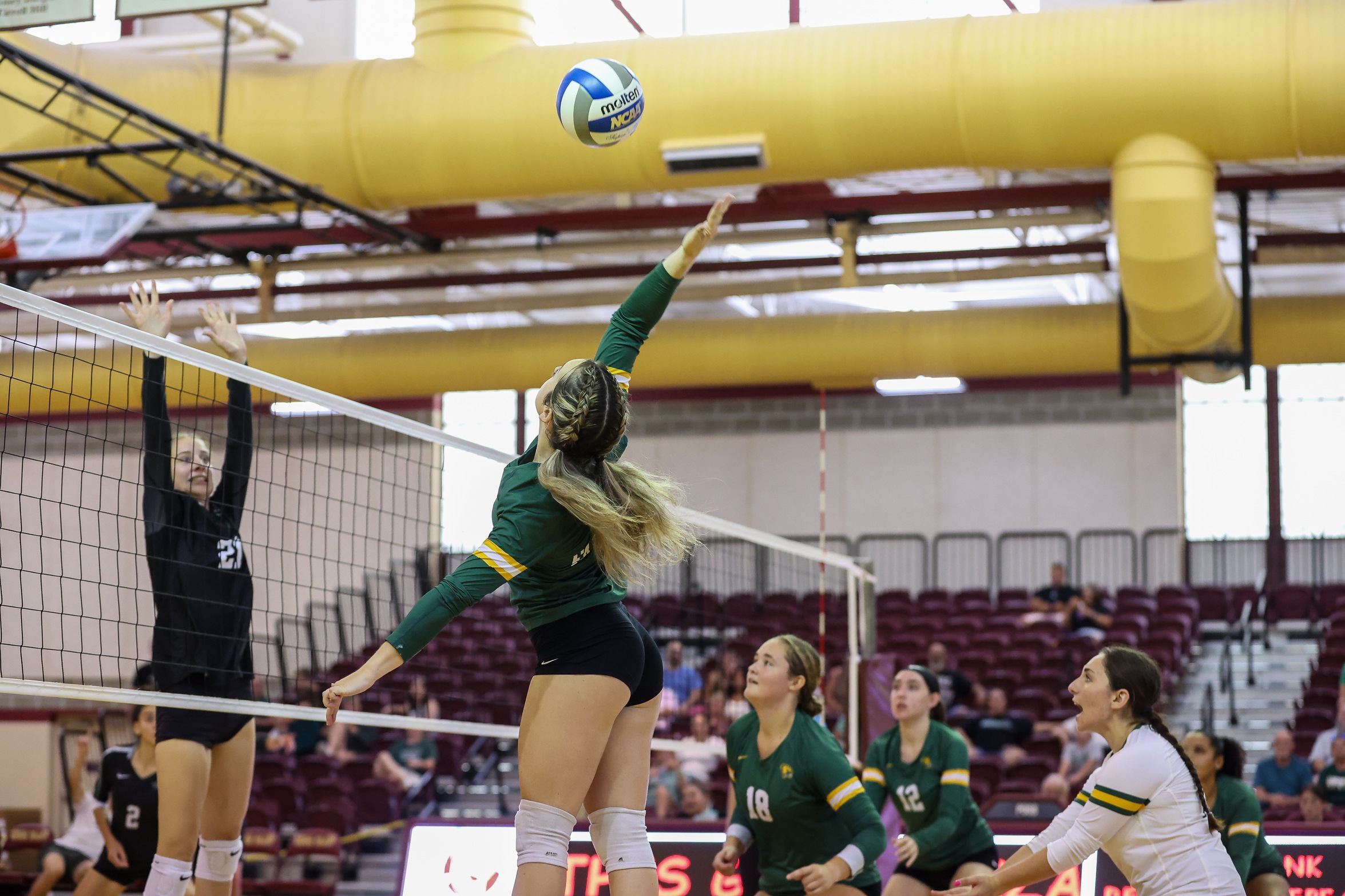 Women's Volleyball Sweeps Vikings in MASCAC Matchup