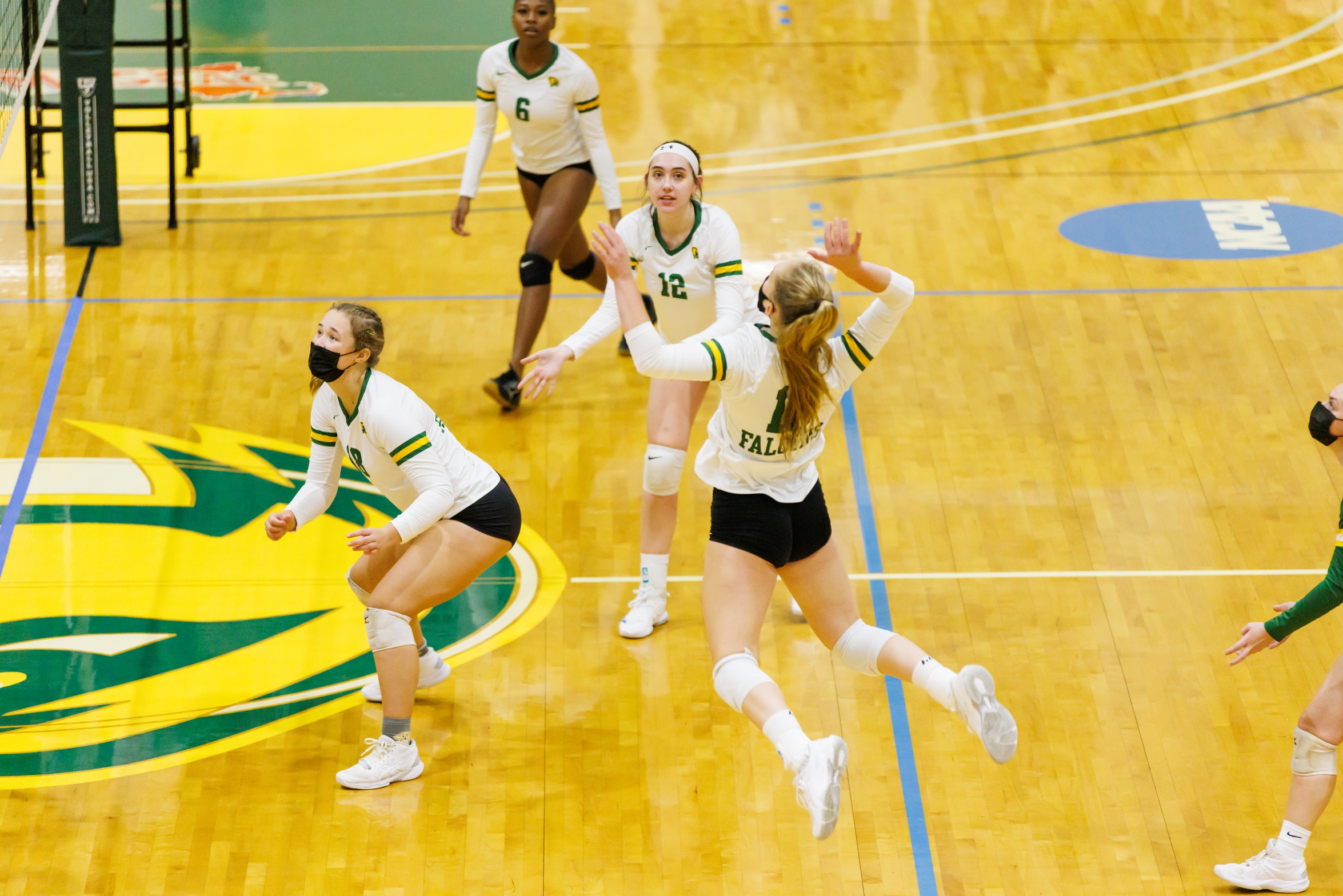 Volleyball Knocks Off Dean and Bay Path in Home Opener
