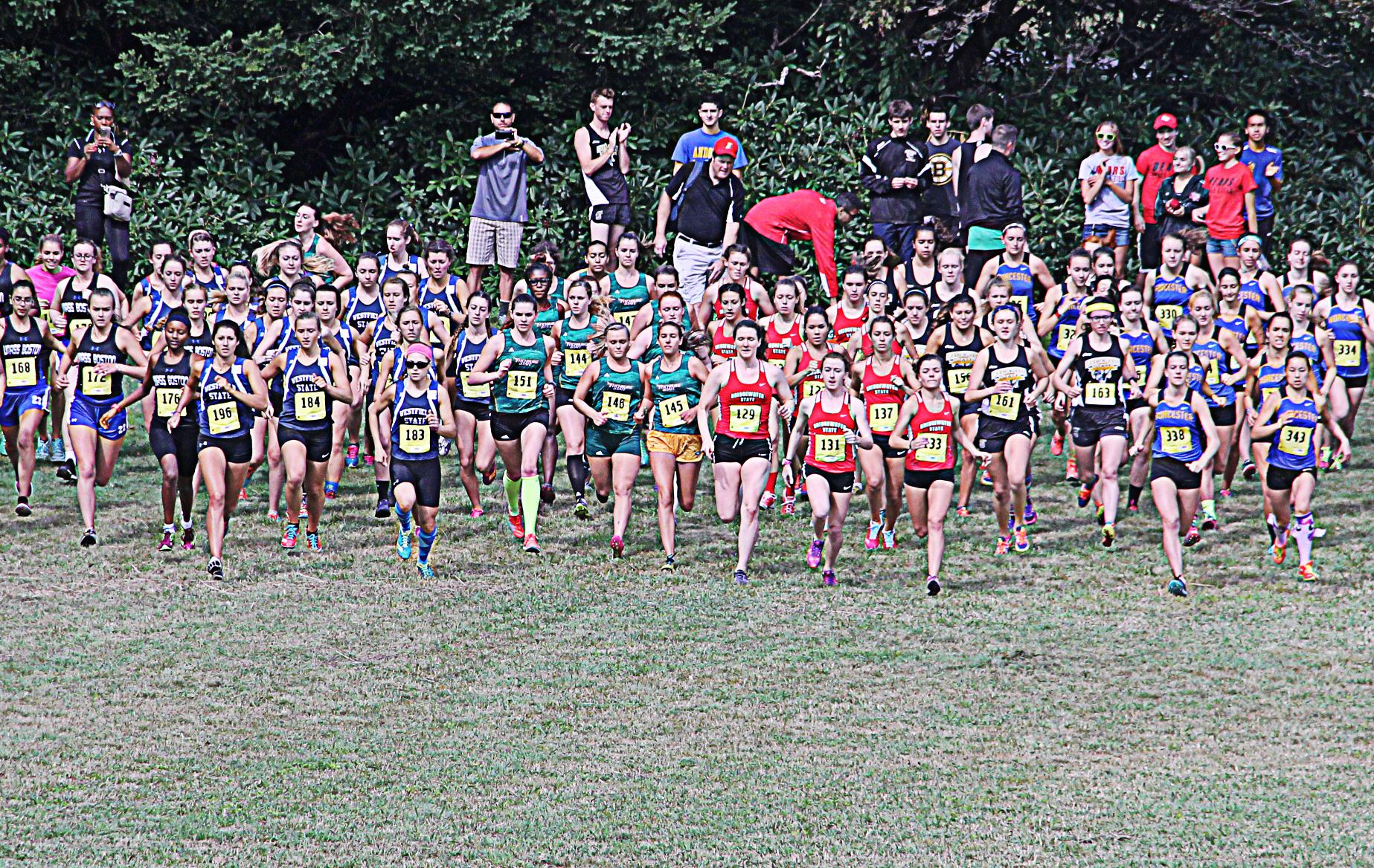 Fitchburg State women's cross country season preview