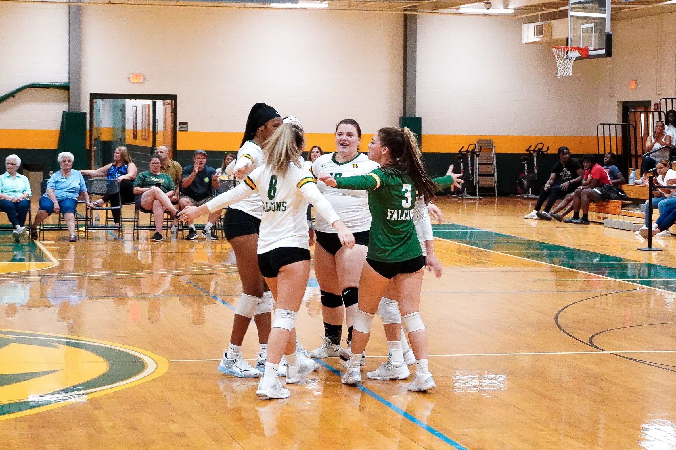 Lasers Stun Falcons in Three Sets
